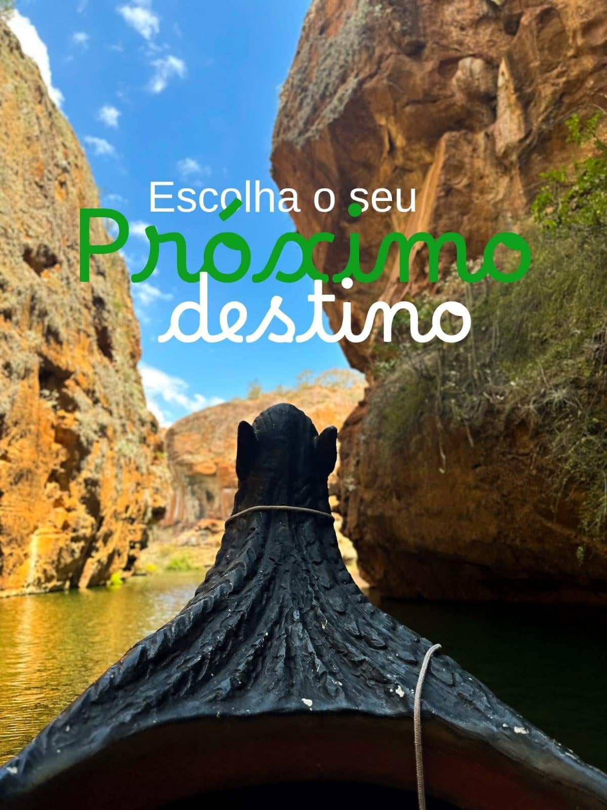 Banner 1