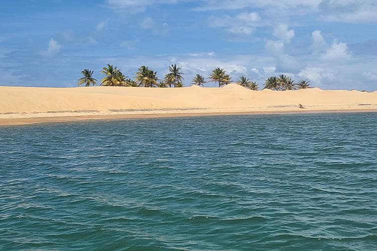 Foz do Rio São Francisco