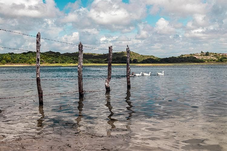 Lagoa dos Tambaquis