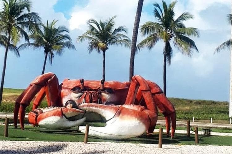 Translado Aracaju- Piranhas
